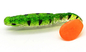 Η μαλακή ουρά Monnow Τ δελεάζει το βιονικό πλαστό δόλωμα PVC αλιεύοντας 16 χρώματα 8CM 6g