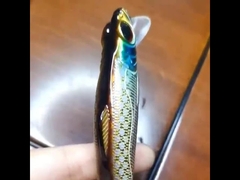 Πλαστικά δόλωμα Θάλασσα αλιεία μακριά ρίξτε σκληρό δόλωμα