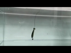 PVC Δόλωμα μαλακό για ψάρεμα, Σιλικόνης, Ψεύτικο μαλακό δόλωμα για ψάρεμα