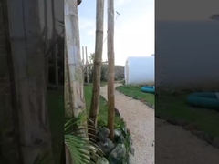 Δωμάτιο ξενοδοχείου Εξωτερικό σπίτι Πνευματώδης σκηνή με φυσαλίδες